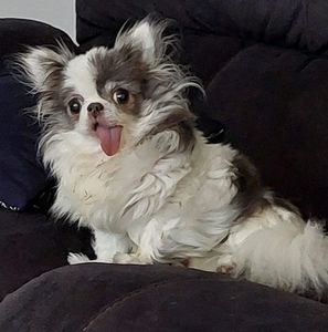 Meet your Posher, Sally